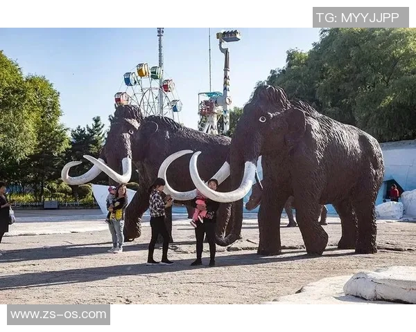 镜头捕捉：太阳赛场小动作引发热议